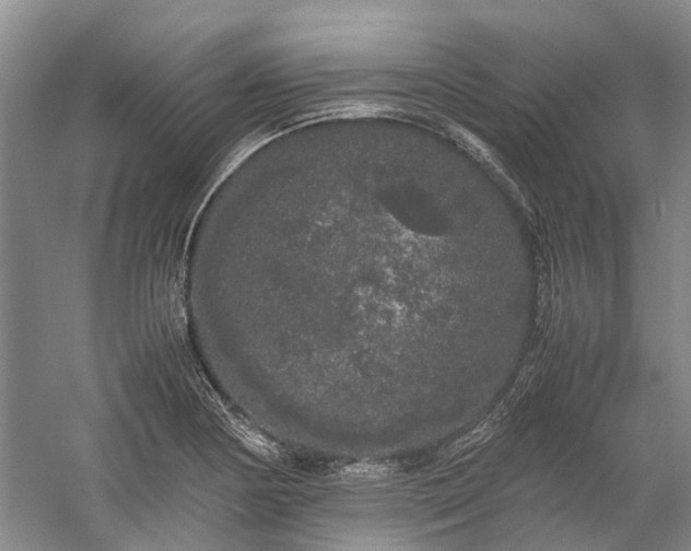 X0000060261178200510281157