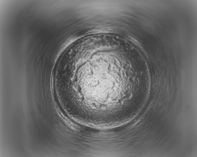 X0000060261179200510281157