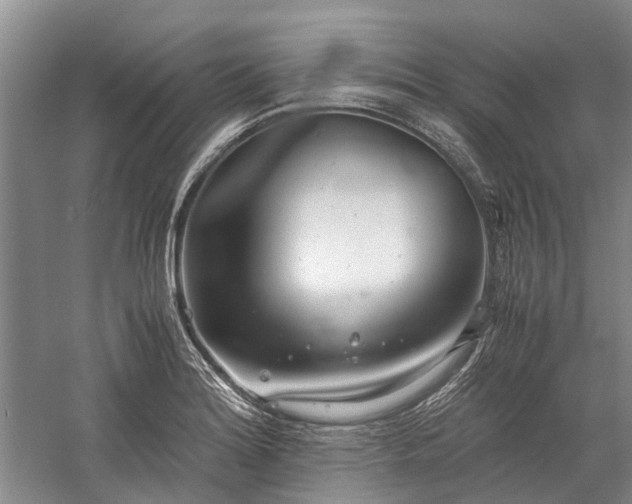 X0000060261180200510281157