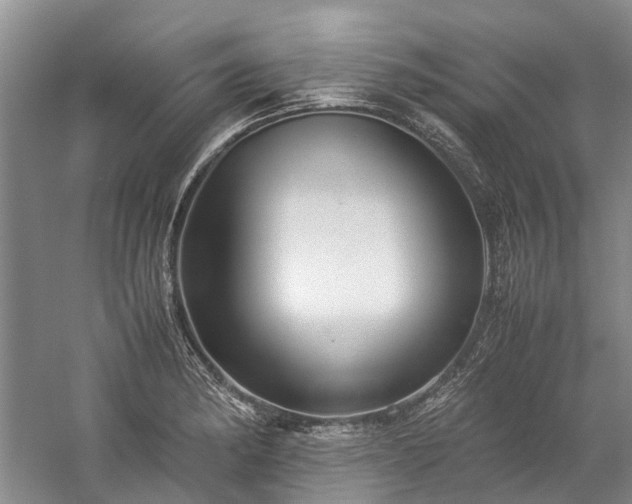 X0000060261182200510281157