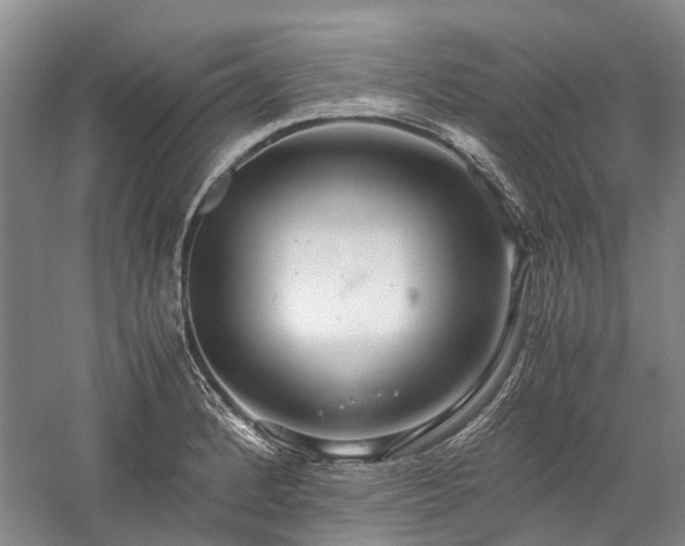 X0000060261184200510281157