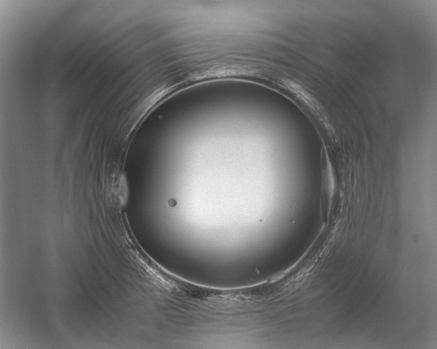 X0000060261185200510281157