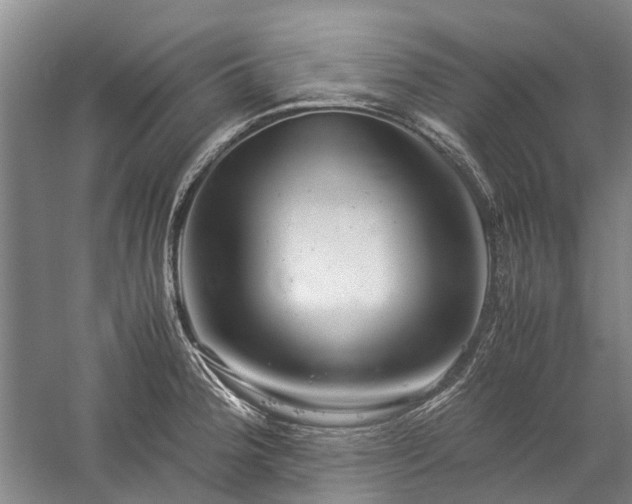 X0000060261188200510281157