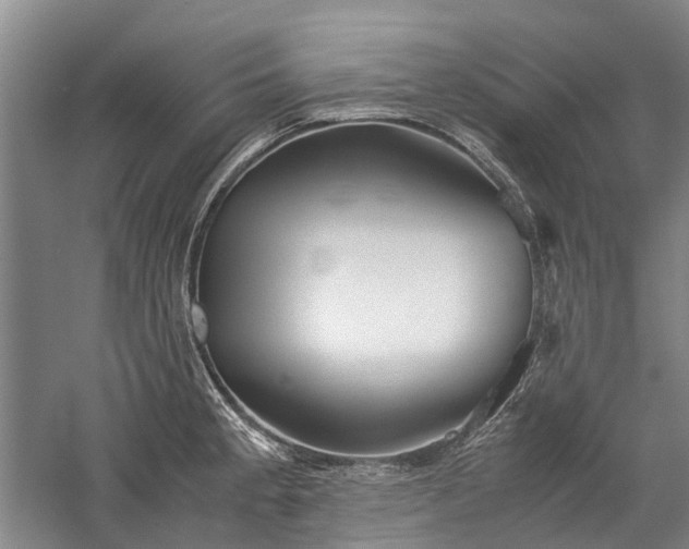 X0000060261189200510281157