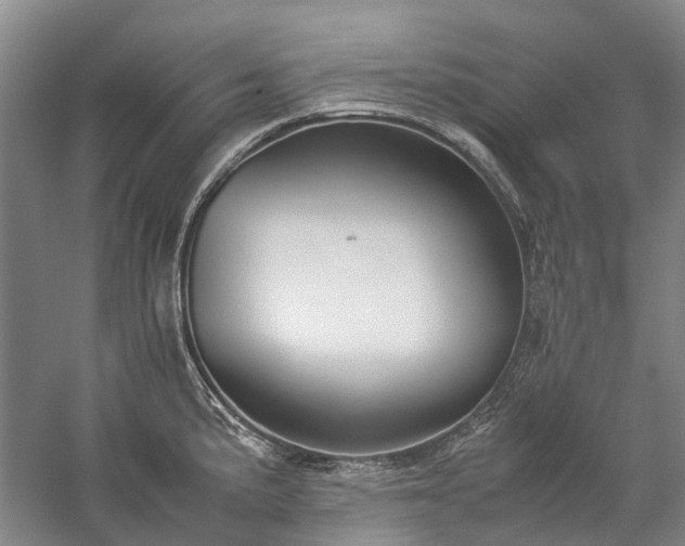 X0000060261191200510281157