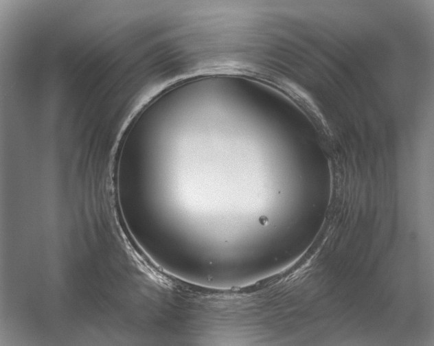 X0000060261192200510281157