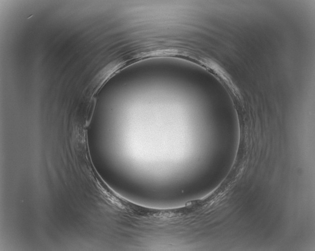 X0000060261193200510281157