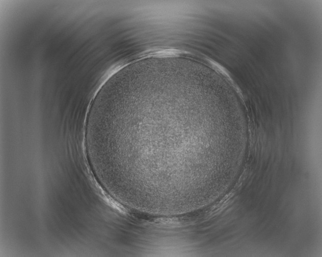 X0000060261194200510281157