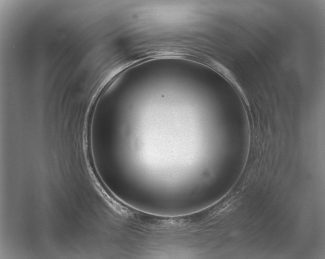 X0000060261195200510281157