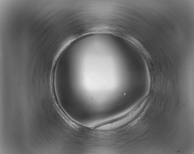 X0000060261196200510281157