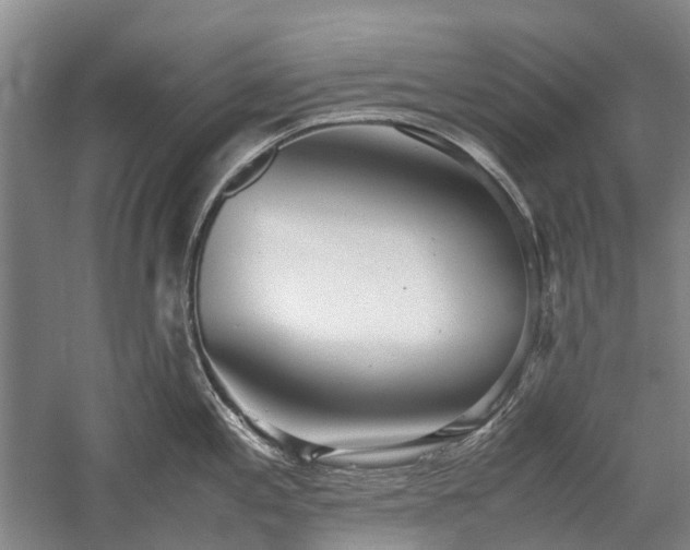 X0000060261197200510281157