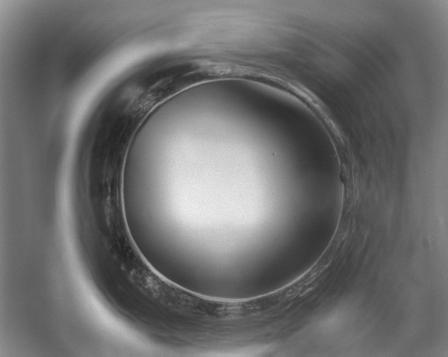 X0000060261199200510281157