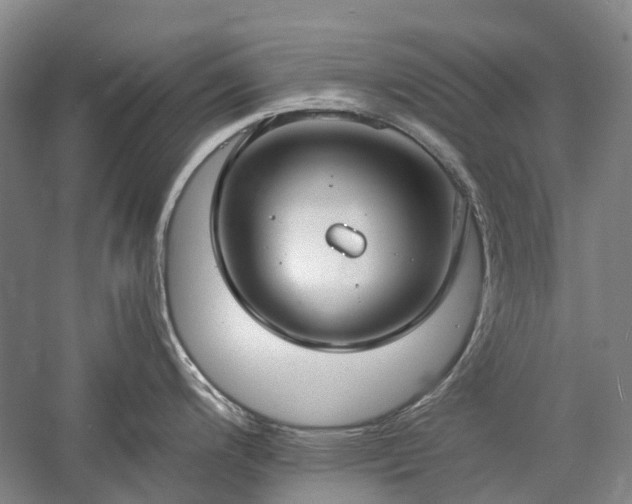 X0000060261200200510281157