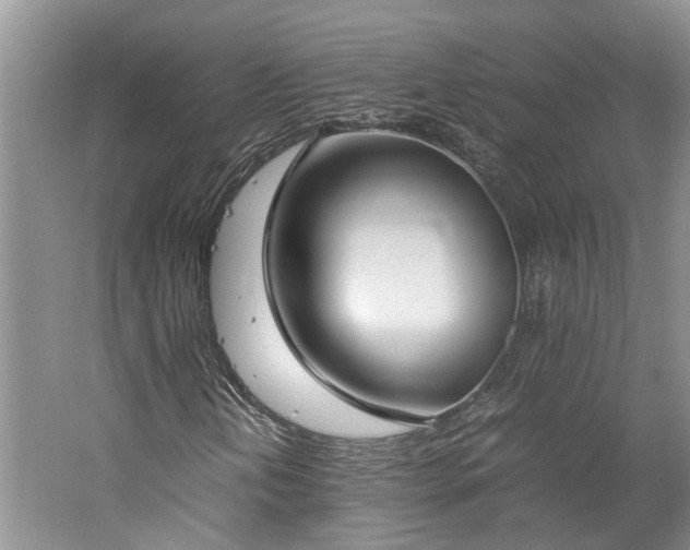 X0000060261202200510281156