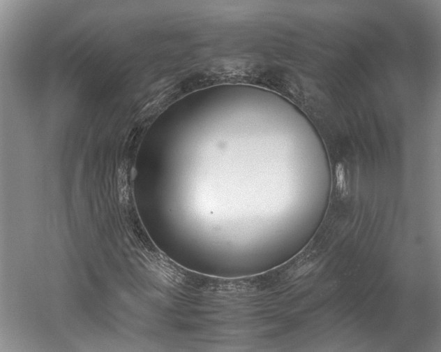 X0000060261203200510281156