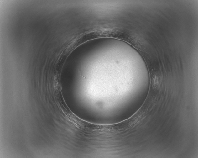 X0000060261204200510281156