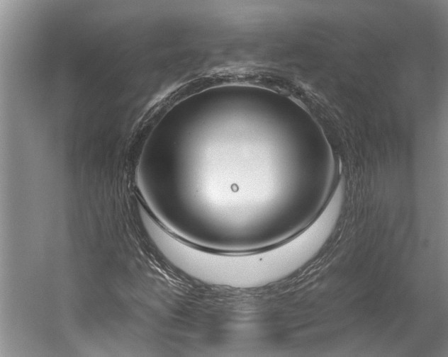 X0000060261206200510281156