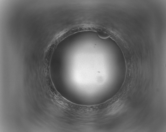 X0000060261207200510281156