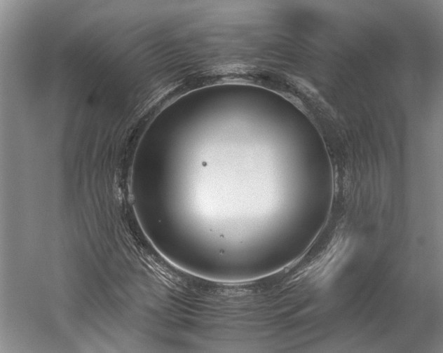 X0000060261209200510281156