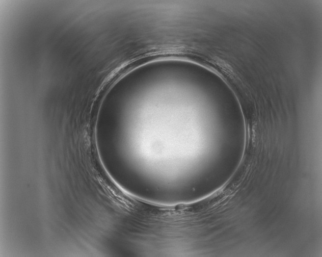 X0000060261212200510281156