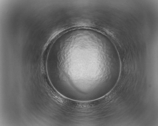 X0000060261215200510281157