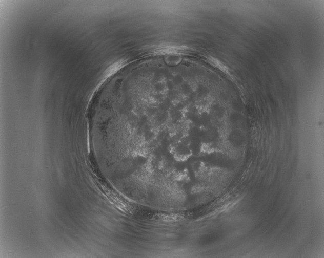 X0000060261219200510281157