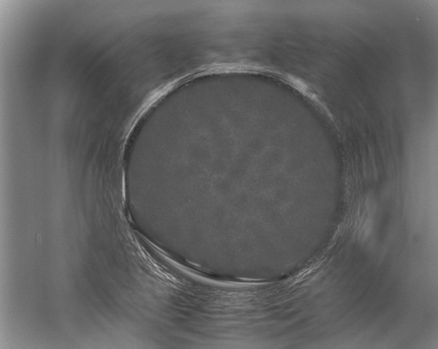 X0000060261221200510281157