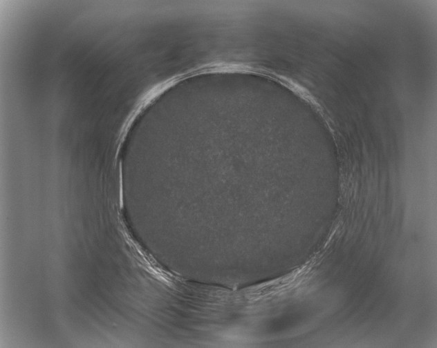 X0000060261223200510281157