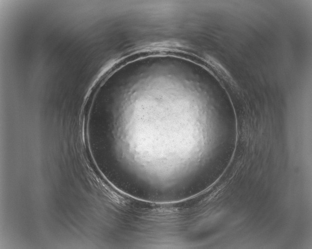 X0000060261224200510281157