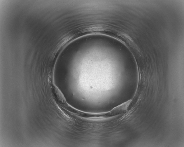 X0000060261225200510281157