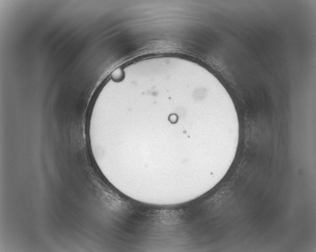 X0000060261226200510281157