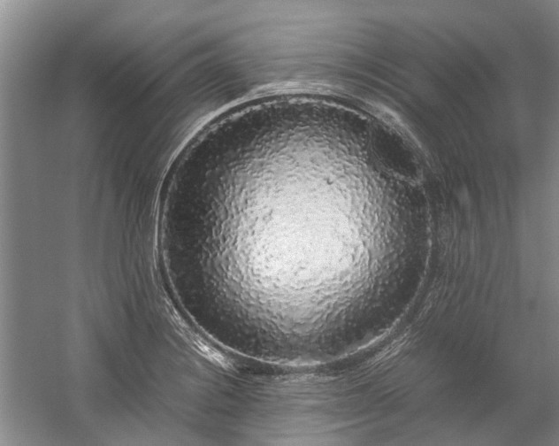 X0000060261228200510281157