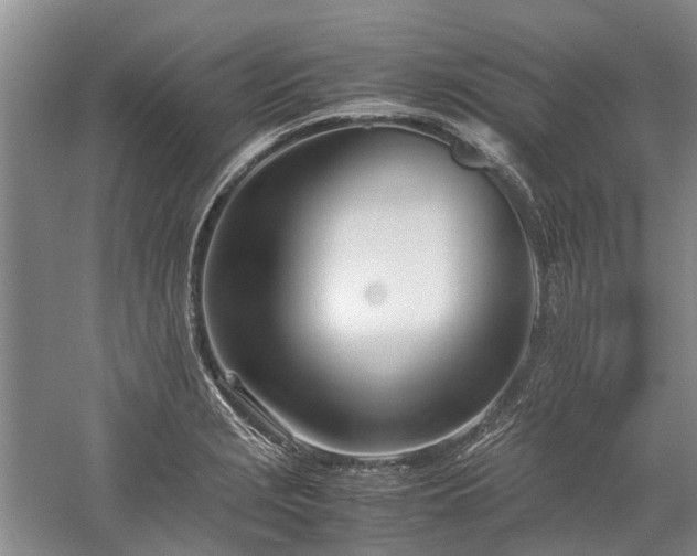 X0000060261229200510281157