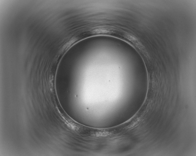 X0000060261233200510281157