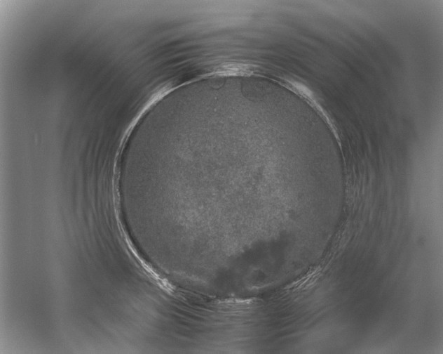 X0000060261235200510281157