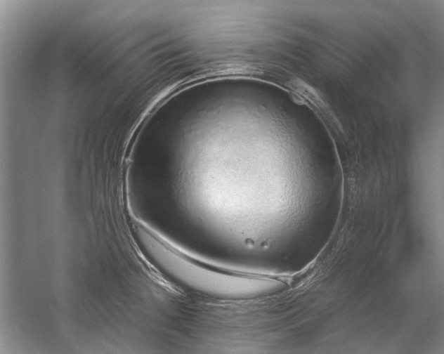 X0000060261236200510281157