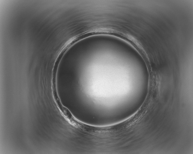 X0000060261237200510281157