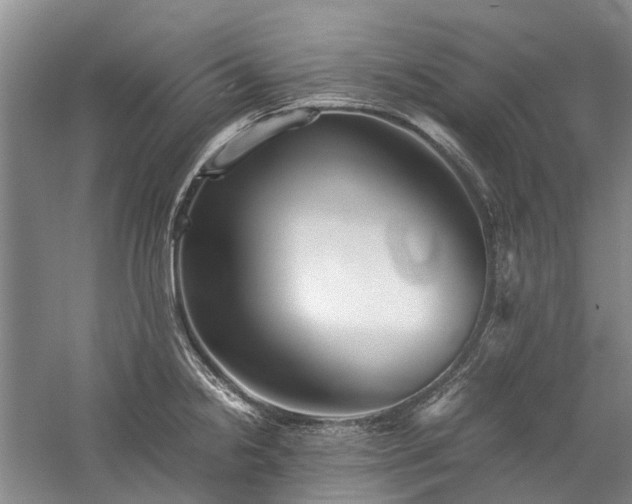 X0000060261238200510281157