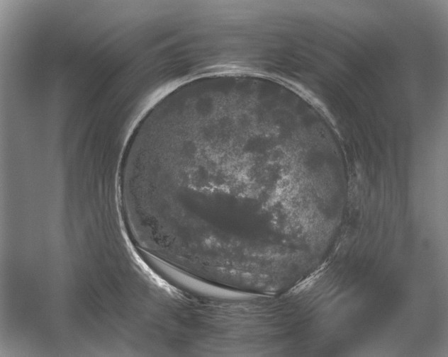 X0000060261239200510281157