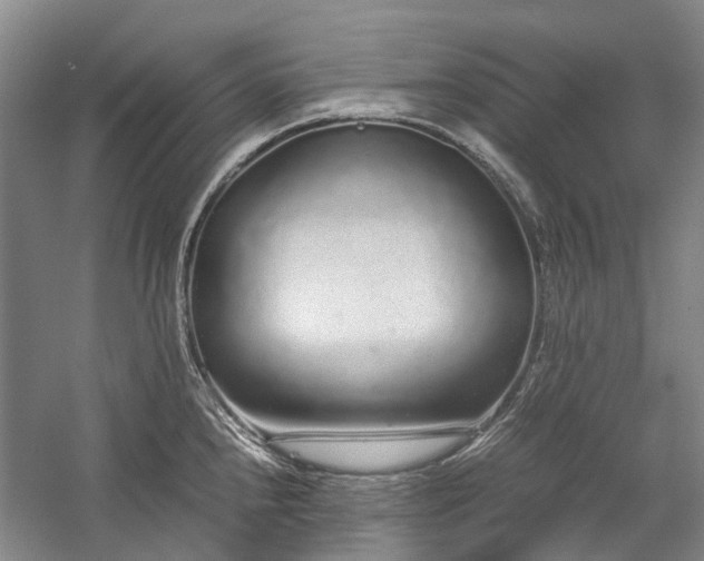 X0000060261240200510281157