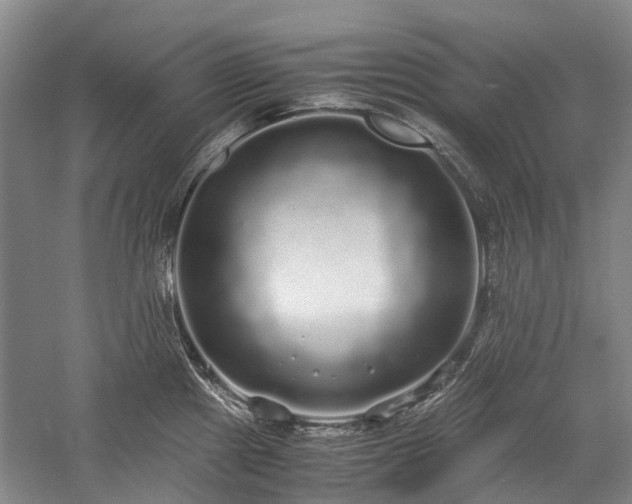 X0000060261241200510281157