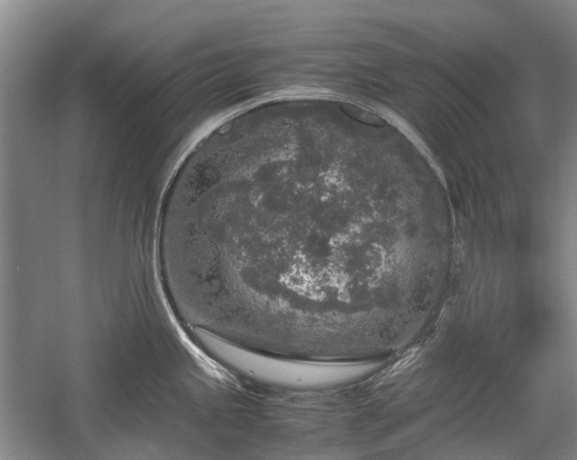 X0000060261245200510281157