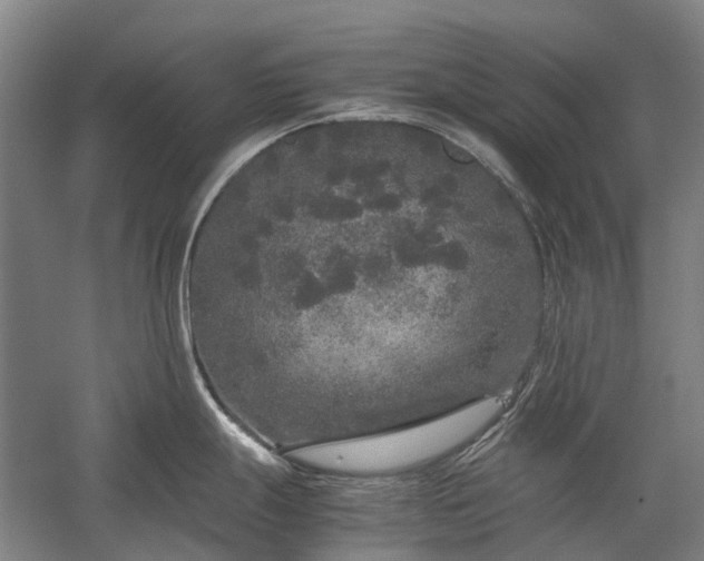 X0000060261247200510281157