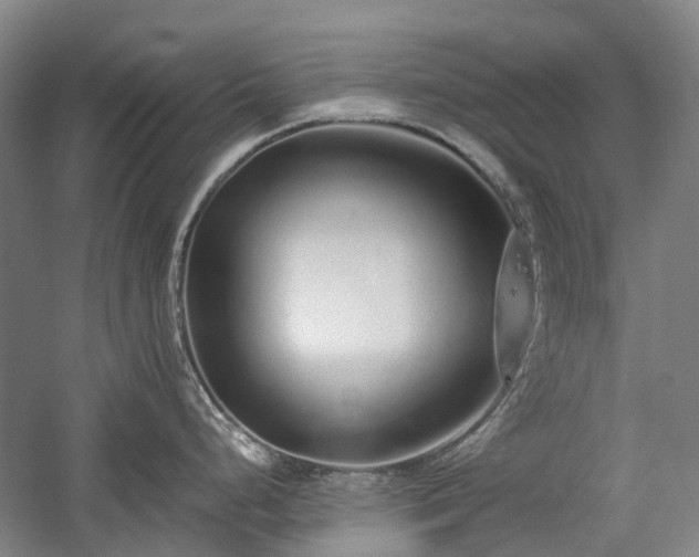 X0000060261248200510281157