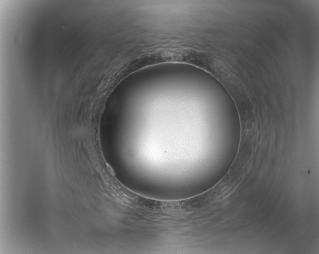 X0000060261249200510281156