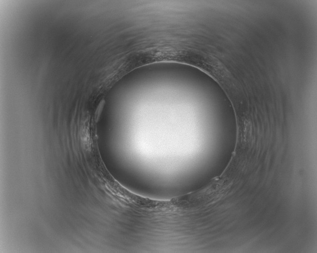 X0000060261250200510281156