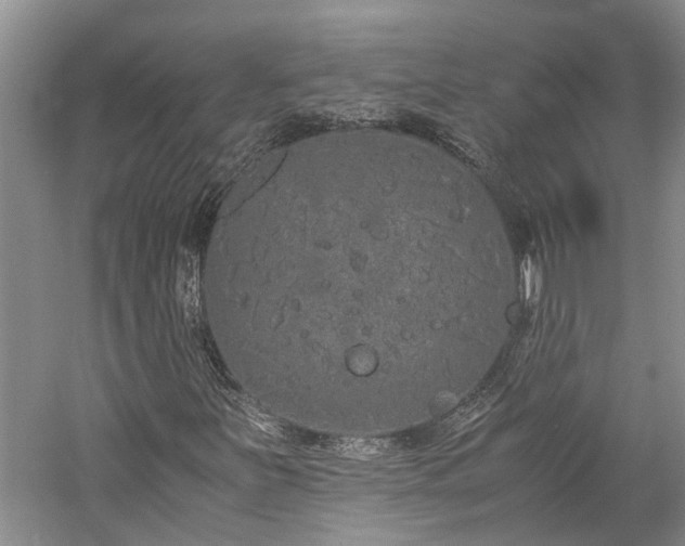 X0000060261251200510281156