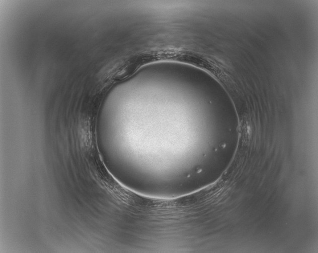 X0000060261252200510281156