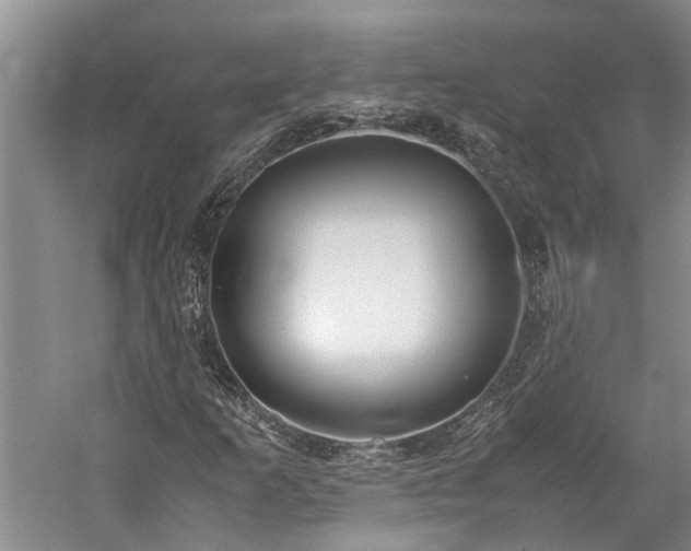 X0000060261253200510281156