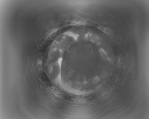 X0000060261254200510281156